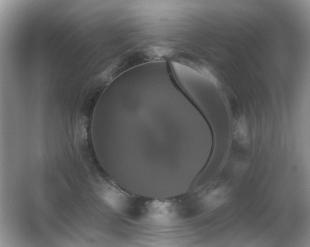 X0000066970570200603241214