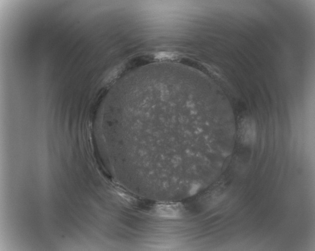 X0000066970571200603241214