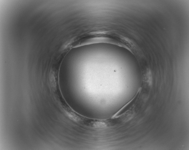 X0000066970572200603241214