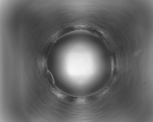 X0000066970574200603241214