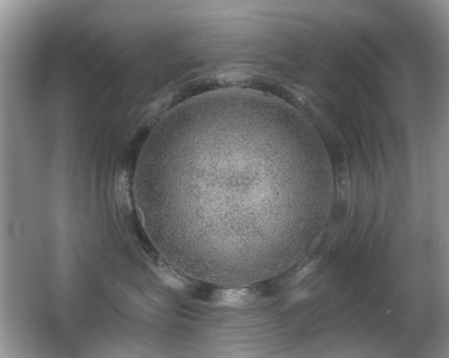 X0000066970575200603241214