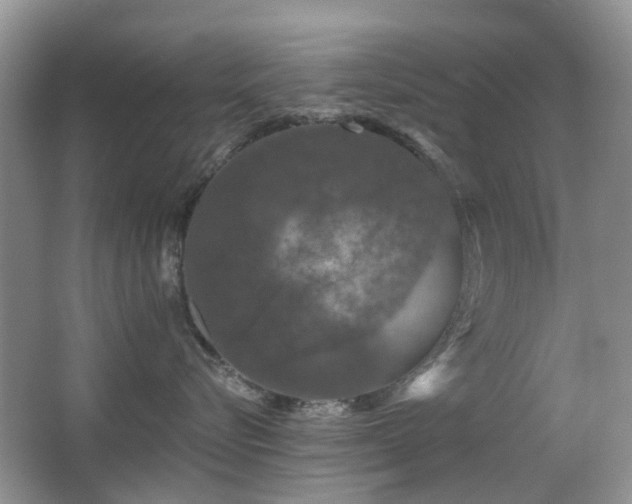 X0000066970576200603241214