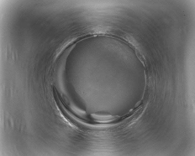 X0000066970577200603241213