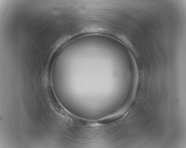 X0000066970579200603241213