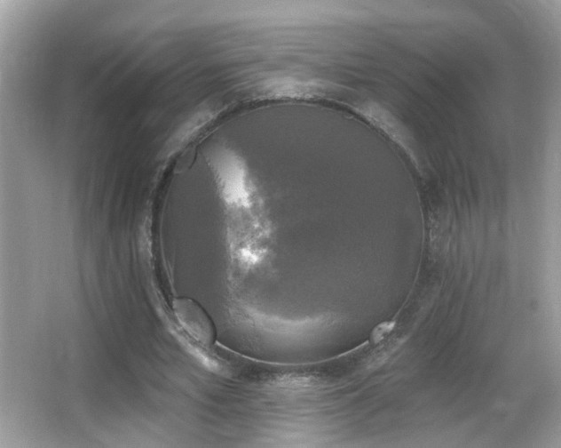 X0000066970581200603241213