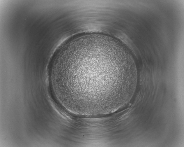 X0000066970584200603241213