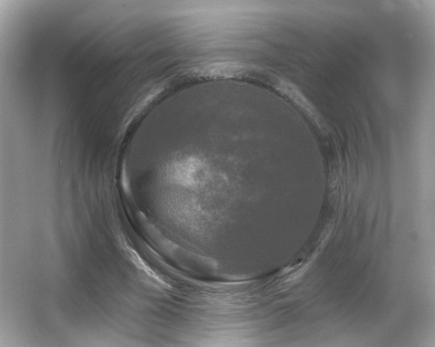 X0000066970585200603241213