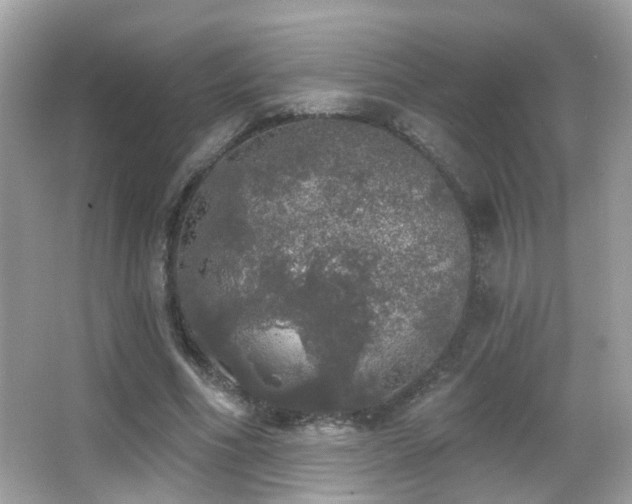 X0000066970586200603241213