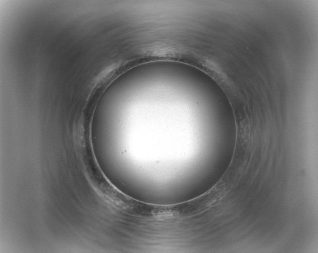 X0000066970587200603241213