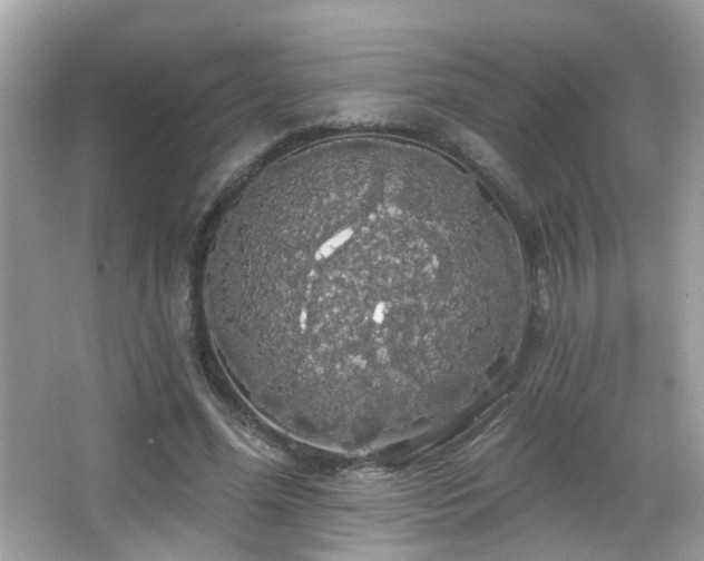 X0000066970588200603241213