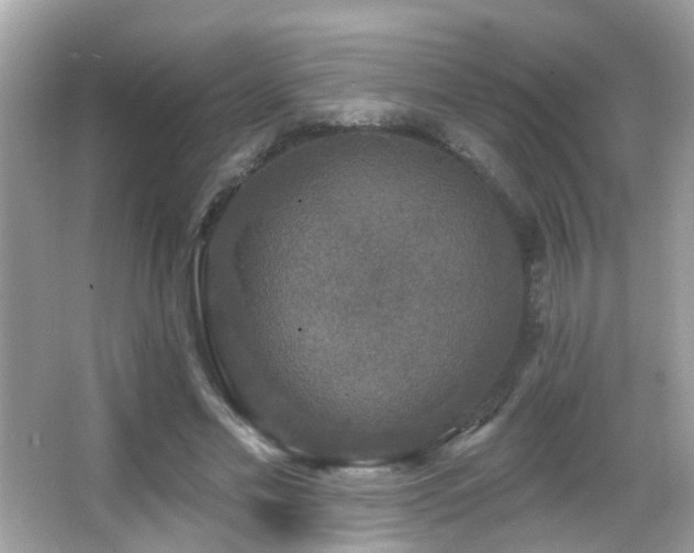 X0000066970589200603241213