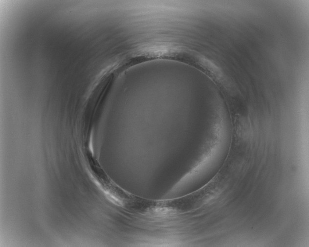 X0000066970590200603241213