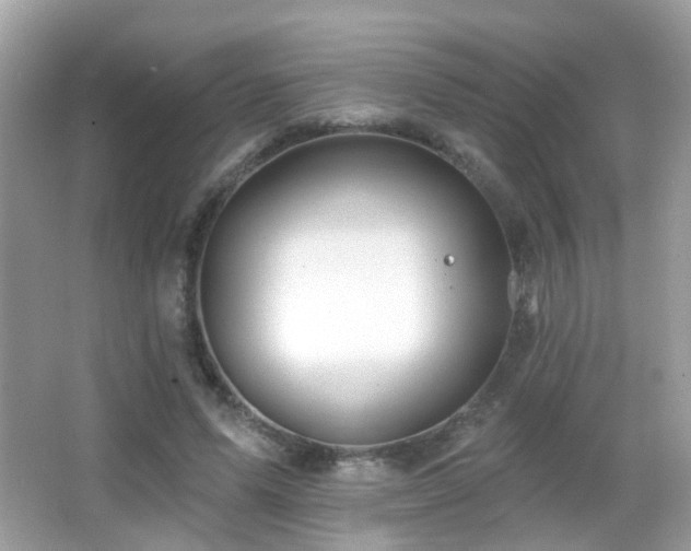 X0000066970591200603241213