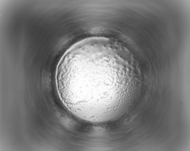 X0000066970592200603241213