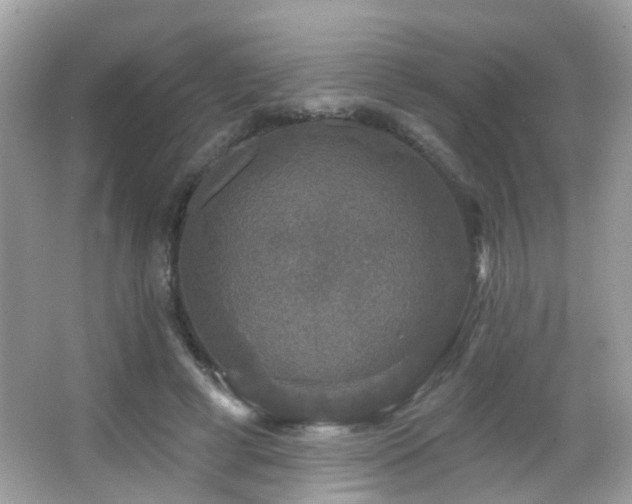 X0000066970593200603241213