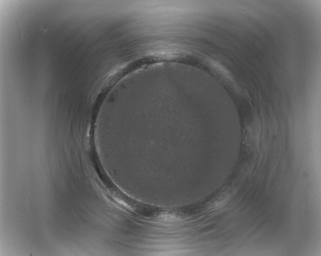 X0000066970596200603241212