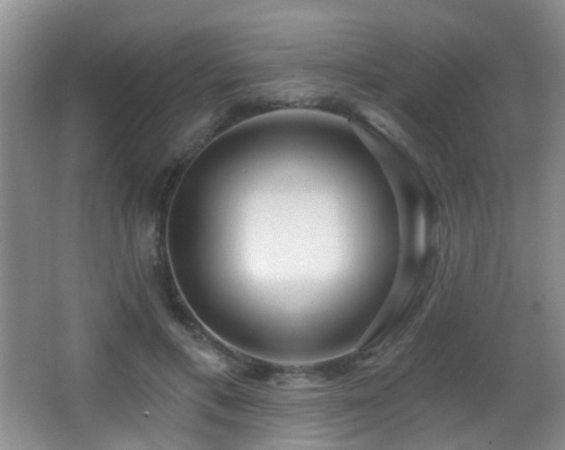 X0000066970597200603241212