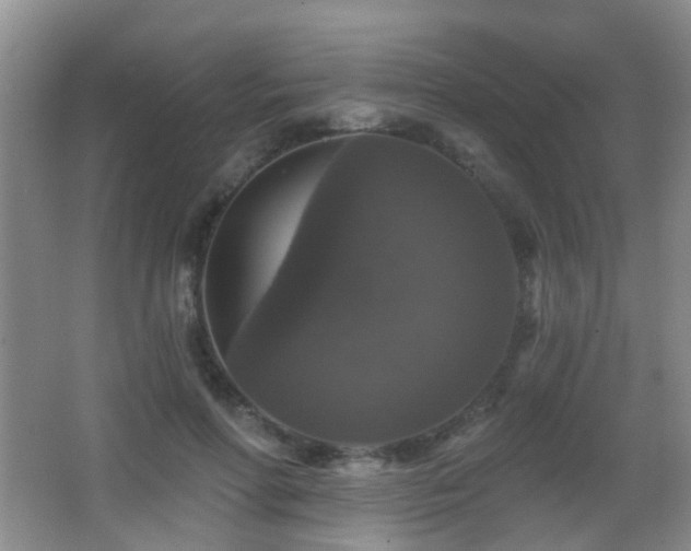 X0000066970598200603241212