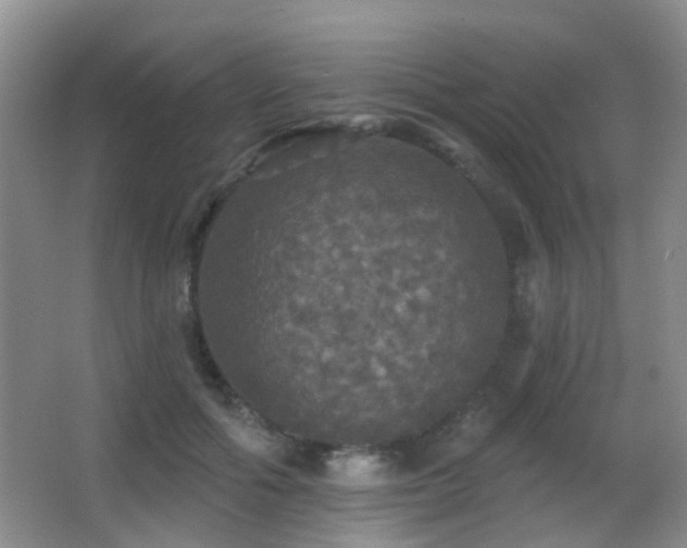 X0000066970602200603241212