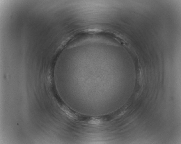 X0000066970604200603241212