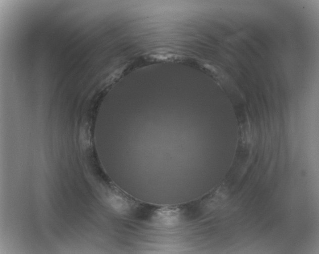 X0000066970606200603241212