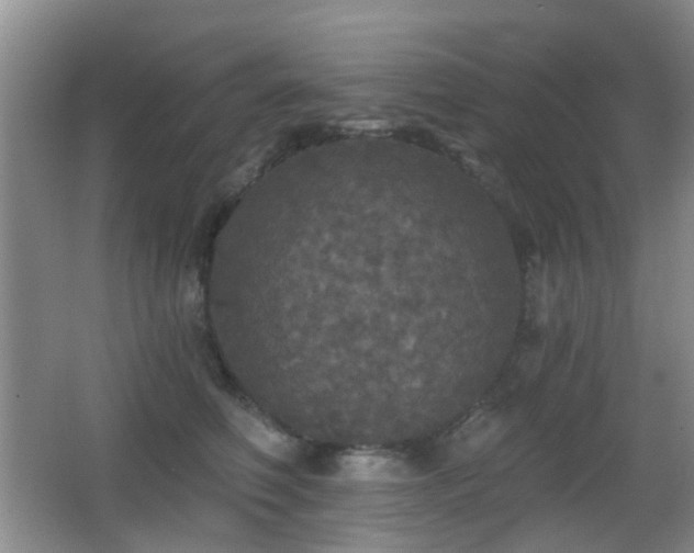 X0000066970614200603241212