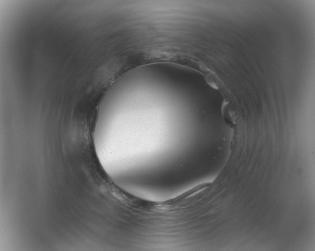 X0000066970617200603241212