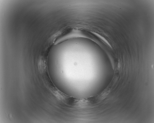 X0000066970621200603241212