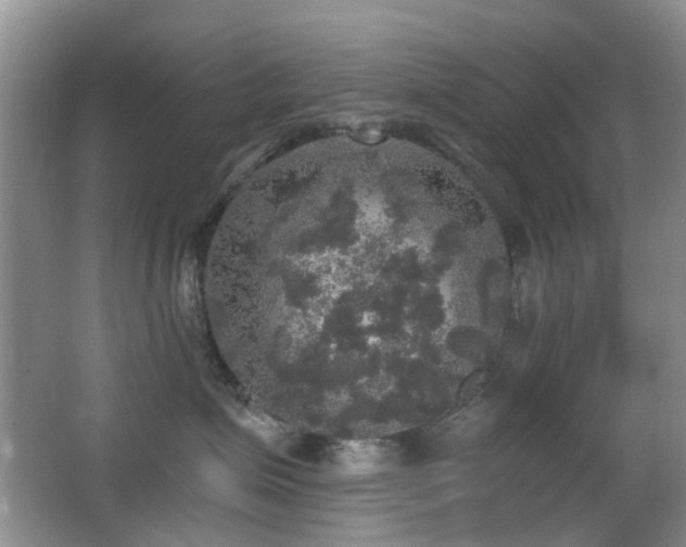 X0000066970623200603241212