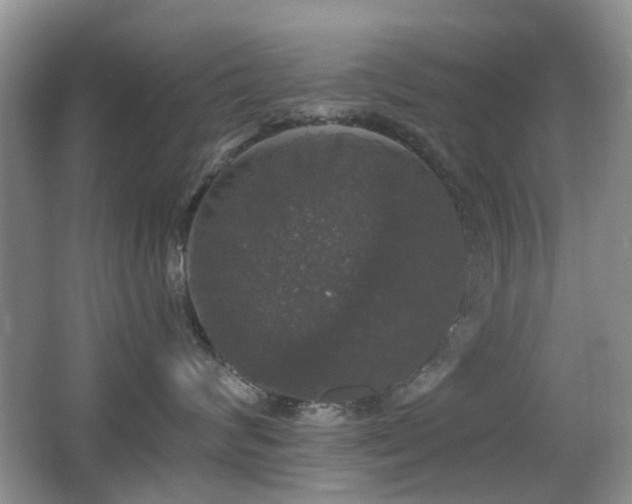 X0000066970624200603241212