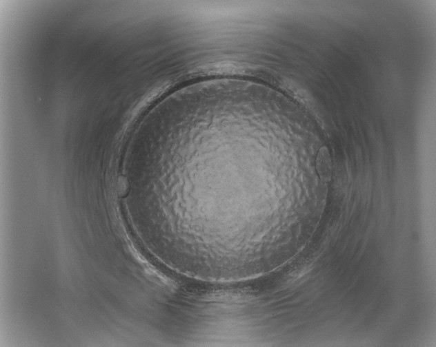 X0000066970625200603241211