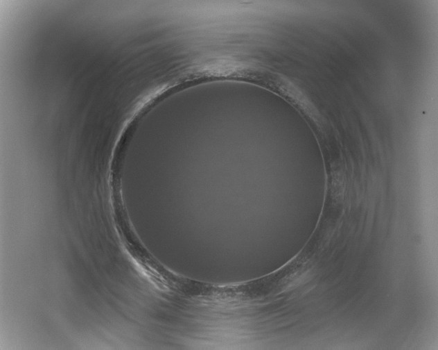 X0000066970626200603241211