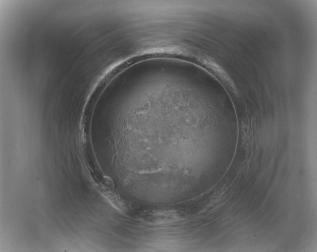 X0000066970628200603241211