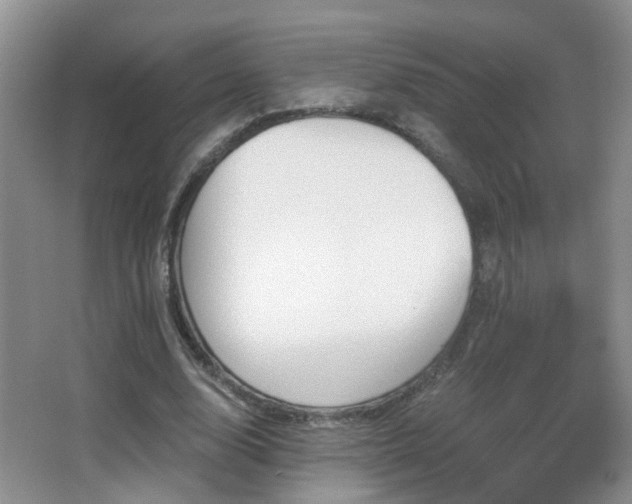 X0000066970632200603241211