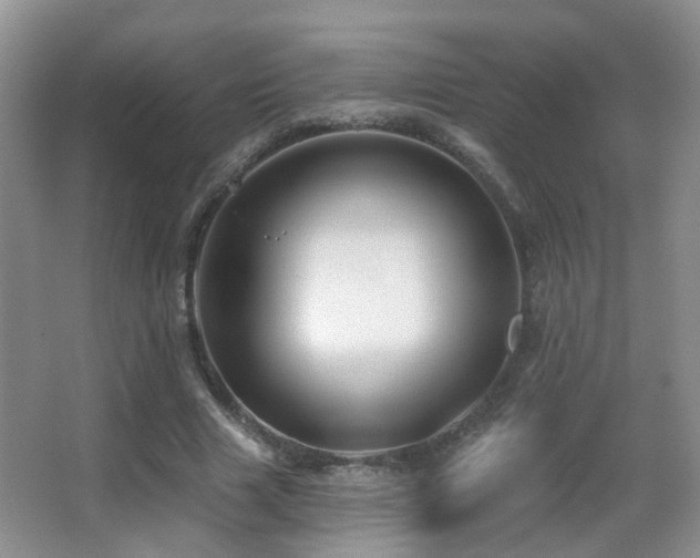 X0000066970633200603241211