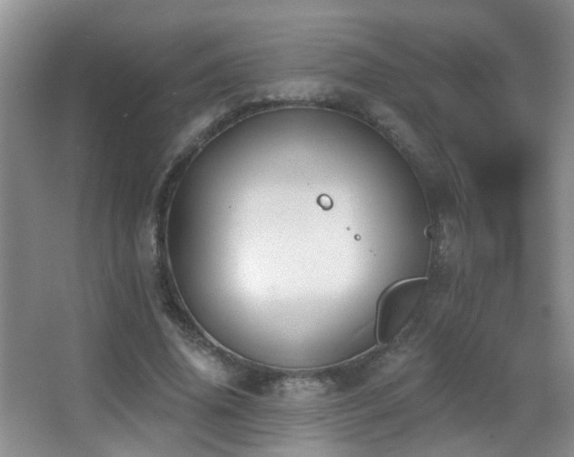 X0000066970636200603241211