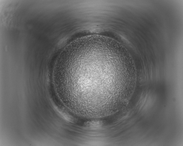 X0000066970639200603241211