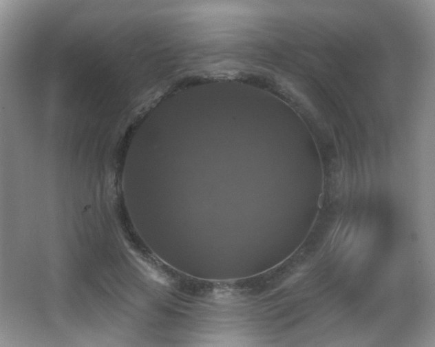 X0000066970641200603241211