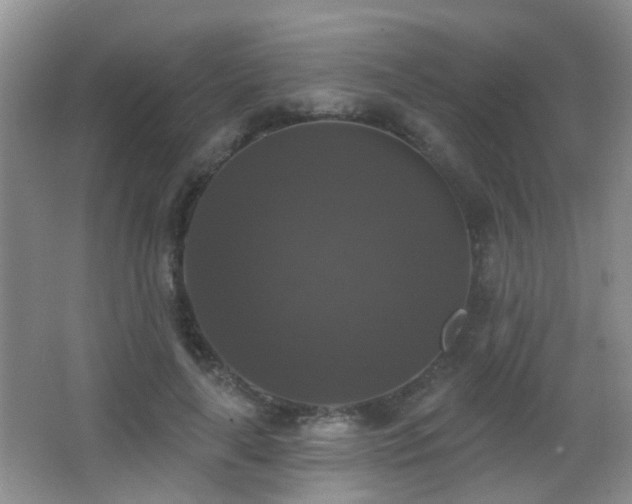 X0000066970643200603241211