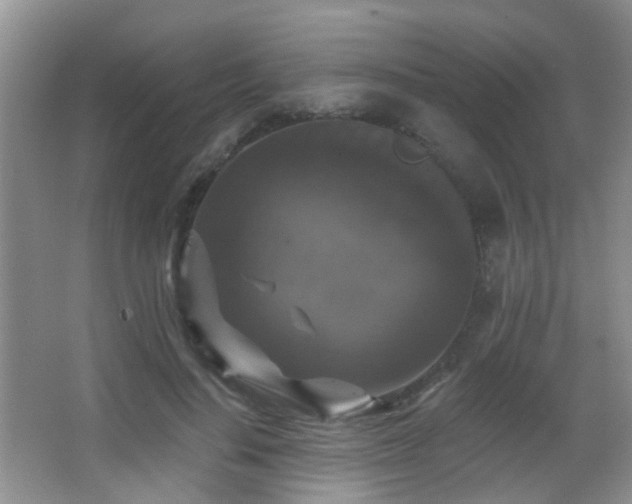 X0000066970644200603241212