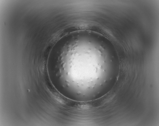 X0000066970645200603241212