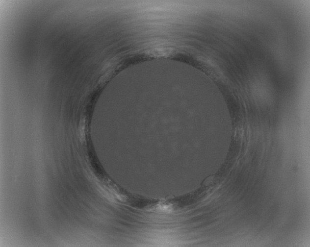 X0000066970647200603241212