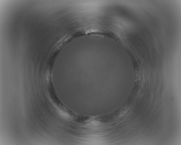 X0000066970648200603241212