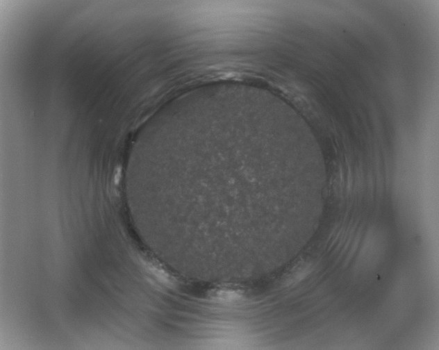 X0000066970649200603241212