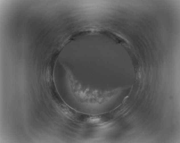 X0000066970651200603241212