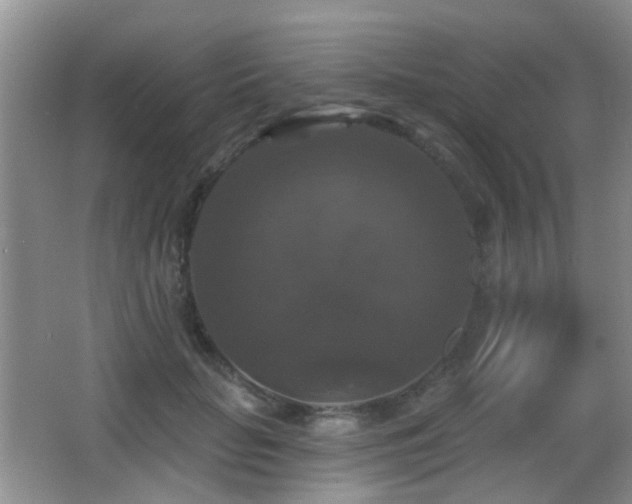 X0000066970653200603241212