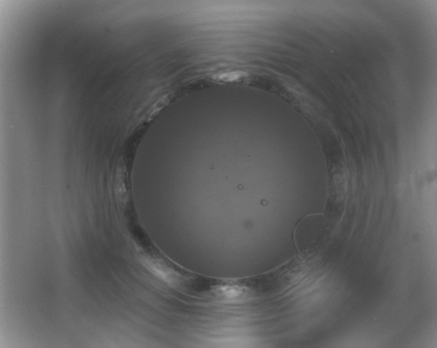 X0000066970654200603241212