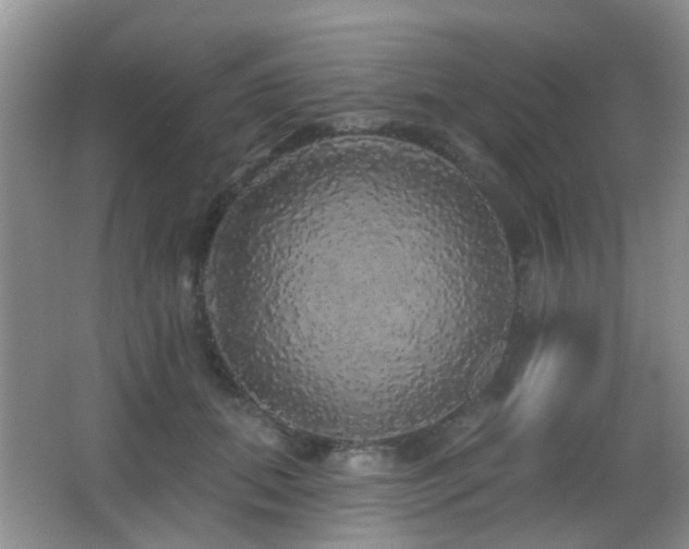 X0000066970655200603241212