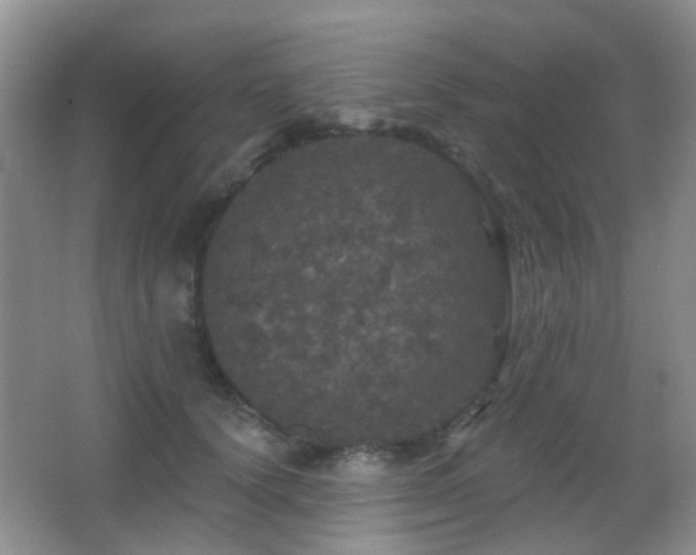 X0000066970656200603241212