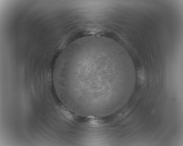 X0000066970657200603241212